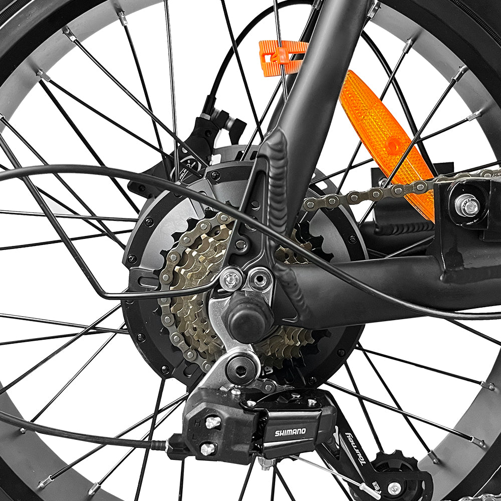 EB2 Pro Fatbike | Zwart | Torque Sensor