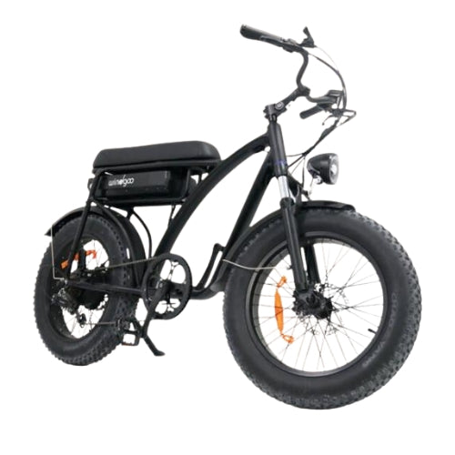 Windgoo | F5 | Elektrische Fatbike | Zwart | 250w